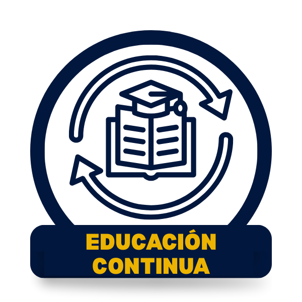 Educación continua