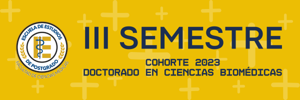 III SEMESTRE