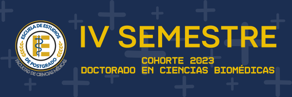 IV SEMESTRE