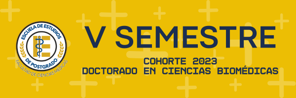 V SEMESTRE