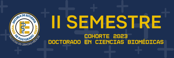 II SEMESTRE