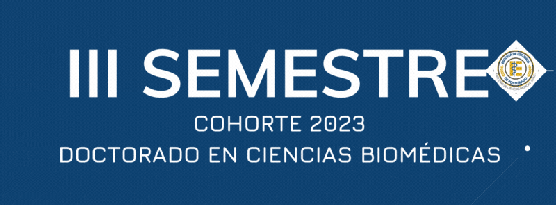 Semestre III