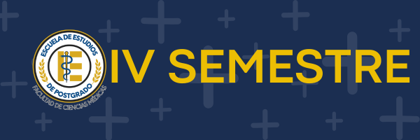 IV SEMESTRE